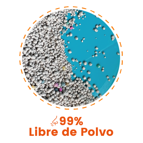 Producto-19